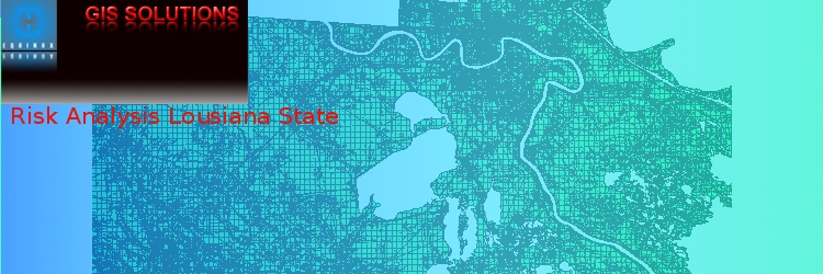 Our consultant helped in analysing the effect of Hurricane Katrina, on the state of Louisiana. After the occurrence of large scale devastation from Hurricane Katrina, risk associated with floods needed to be analysed. This was also a part of a global project. Mainly the task involved post-disaster management strategies. Our approach towards analyzing the risk associated with the disaster management was unique.